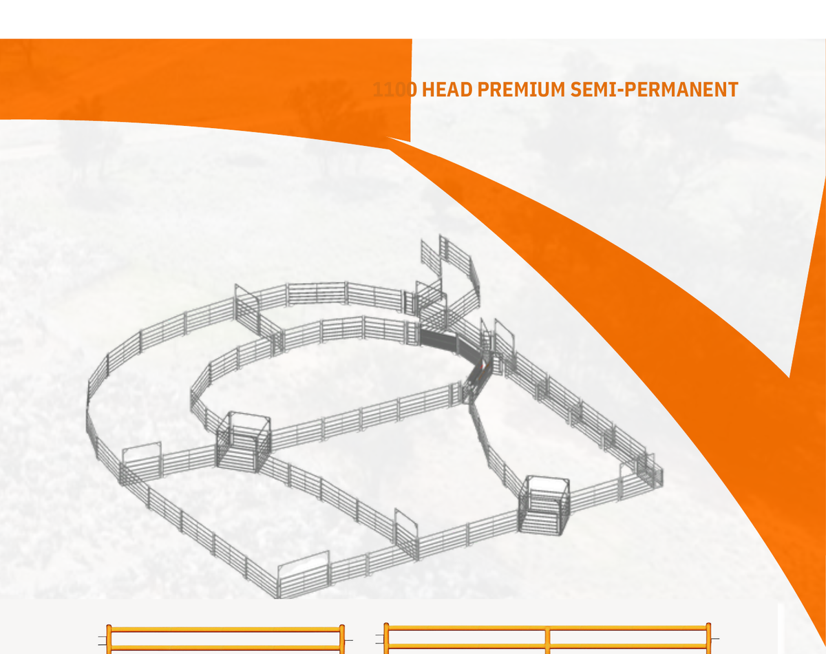 Open the 1,100-head sheep-yard layout
